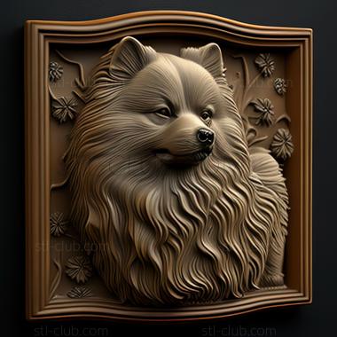 3D model st Keeshond dog (STL)